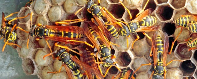 How Lindsay Activated Change By Activating Their Community