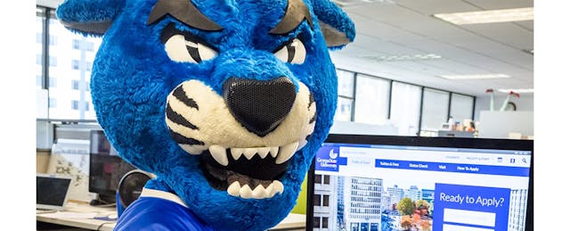 Meet the Humans Behind College Chatbots 
