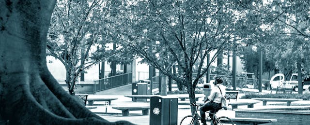 This Cal State Campus Is One of the First to Commit to Online-Only Classes for Fall 2020  
